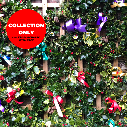 Holly-Wreath-Trinity-Street-Christmas-Trees